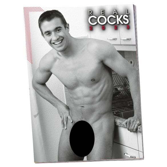 Alasti meeste kalender - 2026