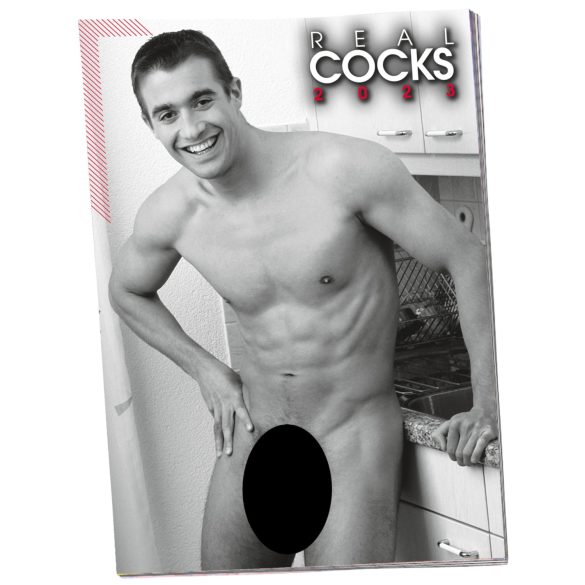 Alasti meeste kalender - 2026 (10 tk)