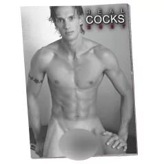 Real Cocks 2027 - erootiline seinakalender (1 tk)