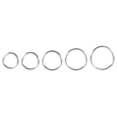 Bad Kitty - metallist peeniserõngaste komplekt 5-osaline