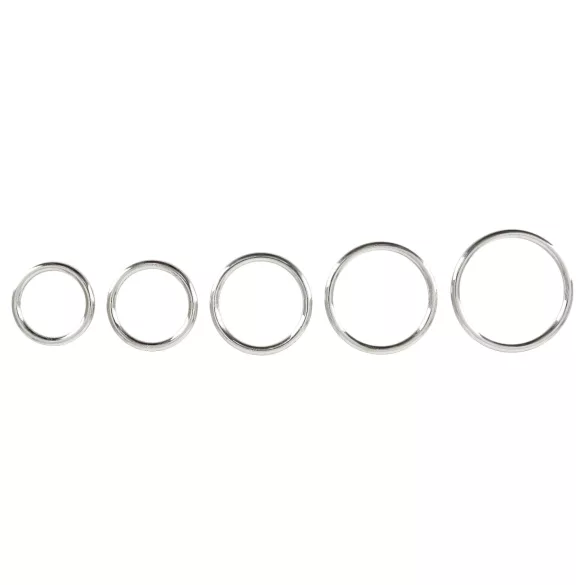 Bad Kitty - metallist peeniserõngaste komplekt 5-osaline