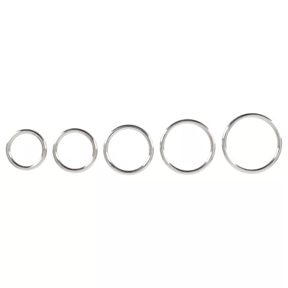 Bad Kitty - metallist peeniserõngaste komplekt 5-osaline