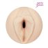 Fleshlight Alexis Texas - salajane naudinguppress
