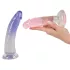You2Toys - Strap-on komplekt - 2 dildoga straponide komplekt