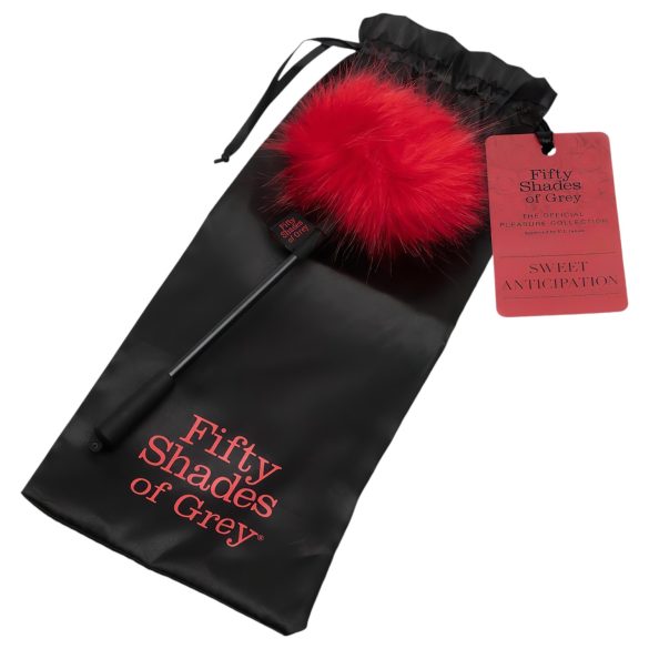 Fifty Shades of Grey - silitaja - must-punane