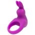 Happyrabbit Cock Kit - vibro-peeniserõngas karbiga (lilla)
