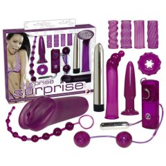 You2Toys - Erotic surprises - vibrator set (12 pieces)