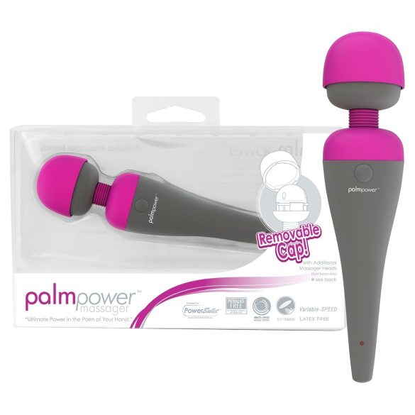 PalmPower vahetatava peaga vibraator-massöör