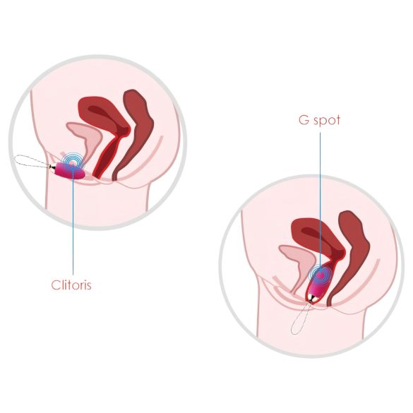 Svakom Elva - vibro-muna kaugjuhtimispuldiga - laetav - punane