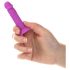 Silly Willy - värviline silikoonist iminapaga dildo, 12 tk