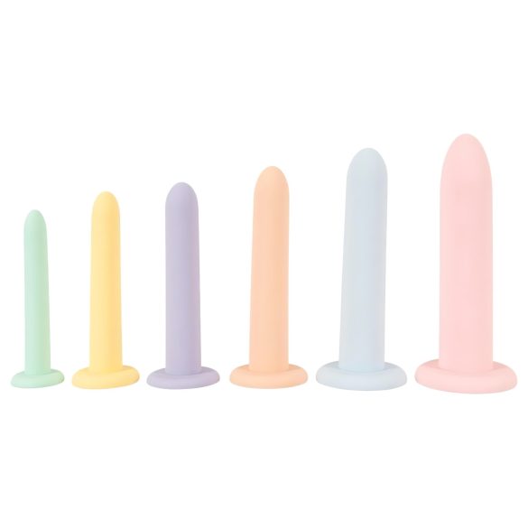 Kuus ühes - dildotreener komplekt - 6 tk (värviline)