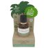 Kookosõli - Bio karvaeemaldus & habemeajamise järgne õli (50ml)