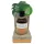 Coconutoil - päevitusõli - looduslik koostis - 80ml