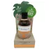 Coconutoil - päevitusõli - looduslik koostis - 80ml