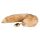 Easytoys Fox NO1 - metallist anaaltapp sabas (kuldne-punane)