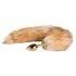 Easytoys Fox NO1 - metallist anaaltapp sabas (kuldne-punane)
