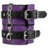 Salajane Nauding: edasijõudnud BDSM komplekt (14 osa)