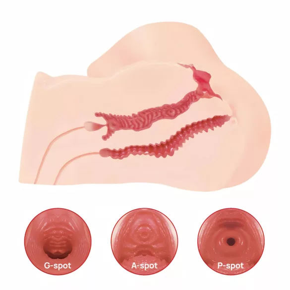 Kokos Maria - realistlik seksitorso - vagina ja anus - naturaalne