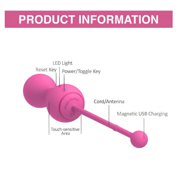 Magic Motion Kegel Master - nutikad tupekuulid duo (roosa)