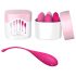 FEELZTOYS Femmefit - luksuslik geishapallide komplekt (6-os)