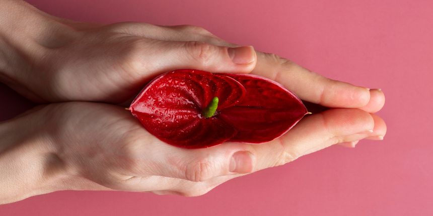 Diskreetne naudingulelu kliitori stimuleerimiseks, lovesexshop.ee seksipood